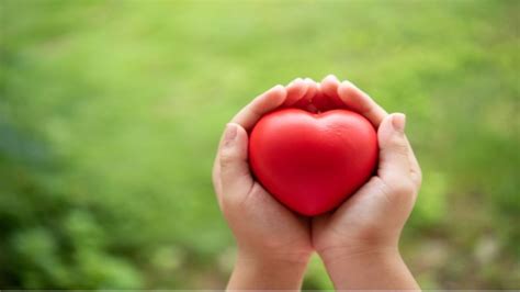 Follow These 8 Lifestyle Tips To Take Care Of Your Heart By Staying At