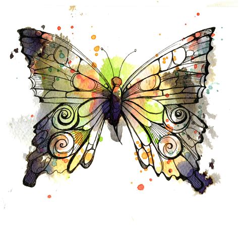 Free Butterfly Illustration Download Free Butterfly Illustration Png