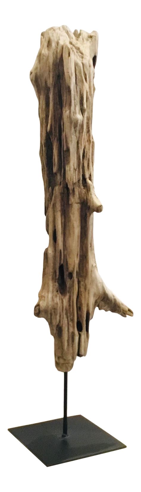 Driftwood Display Driftwood Sculpture Natural Driftwood Driftwood Art