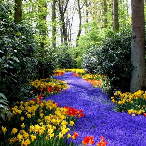 Download 10 Best Spring Scenery Wallpaper Widescreen Full Hd Very Very Beautiful Flowers On