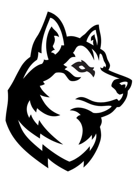Northeastern Unveils New Athletics Logos News Northeastern Husky