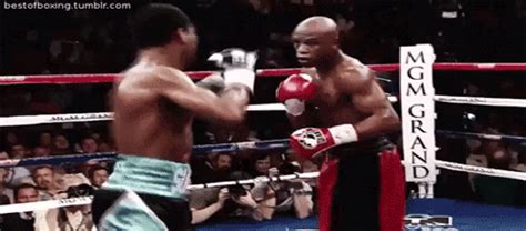 Floyd Mayweather Boxing  Find And Share On Giphy