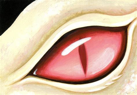 Eye Of The Albino Dragon Painting By Elaina Wagner Fine Art America