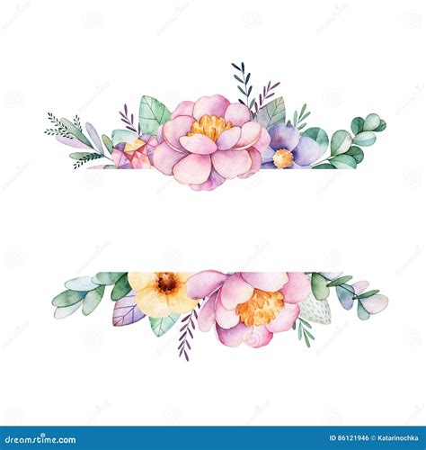 Peony Flower Clip Art Borders