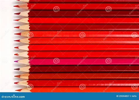 Red Pencils Stock Image Image Of Pencil Crayon Colour 29594857