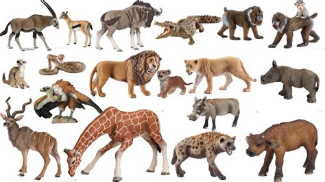 The list of extinct animals in africa features the animals that have become extinct on the african continent and its islands, like madagascar, mauritius, rodrigues, réunion, seychelles, saint helena, cape verde, etc. Schleich Papo 20 Animals African Savanna Safari ZOO Toys ...