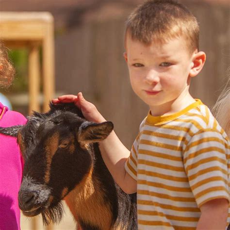 Top 163 What Animals Are In A Petting Zoo