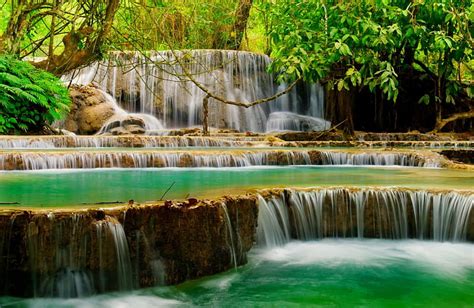 Forest Water Cascades Forest Lovely Greenery Bonito Trees Leaves