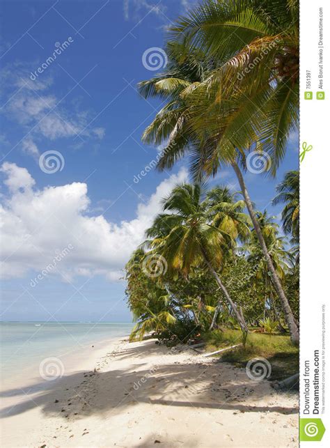 Tropical Beach Scene Stock Image Image Of Coast Sand 7551397