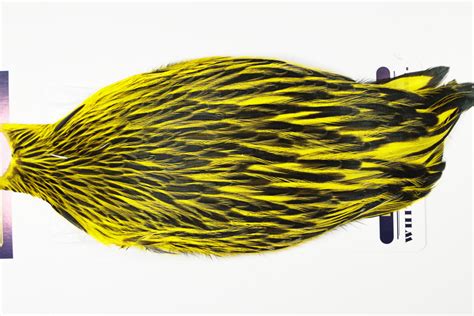 Ahc 6802 American Hen Cape Blw Dyed Yellow Jimsflyco