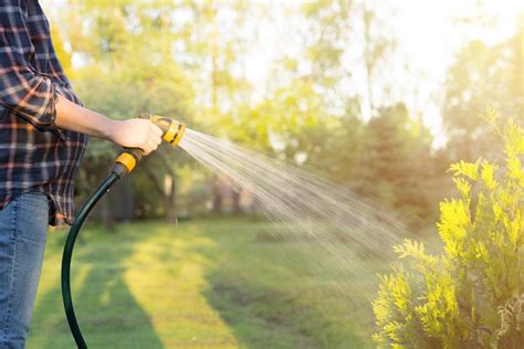 Best Time To Water Lawn In Summer