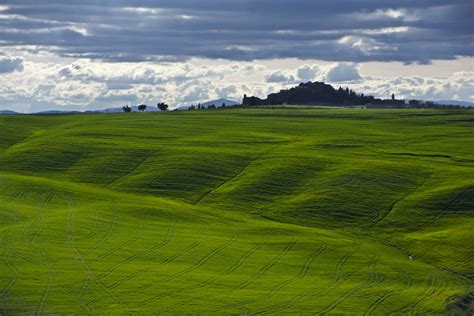 Green Glass Field Tuscany Hd Wallpaper Wallpaper Flare