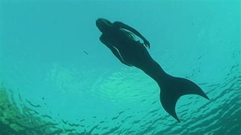 Real Life Mermaids Swim With Sea Creatures Video Abc News