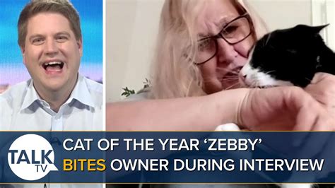 Cat Of The Year Zebby Bites Owner During Interview Peter Cardwell
