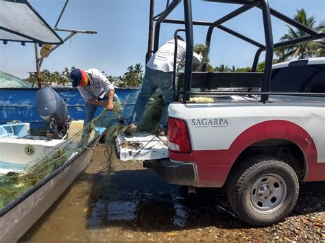 Operativos De Conapesca En Contra De Pesca Furtiva En El País Logran La