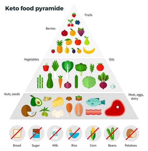 The Ketogenic Diet For Beginners Fitolympia