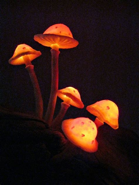 Glowing Mushroom Mood Light Full Tutorial Make It With Me