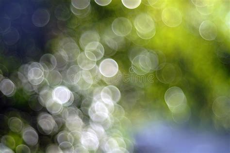 Sunlight Bokeh In The Defocused Leaves And Branches Of A Tree Stock