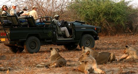 8 Reasons To Choose A South Luangwa Safari Made In Africa Tours And Safaris
