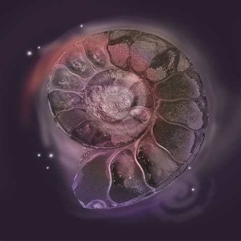 Space Fossil Digital Art By Shelley Myers