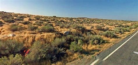 Utah Birding Spots Antelope Island Sp Visitor Center And Loop Rd