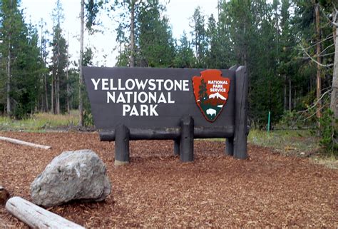 Rocky Top Ramblers Yellowstone National Park
