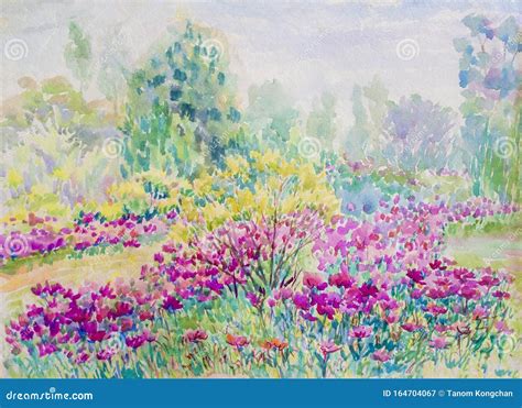 Painting Watercolor Landscape Colorful Of Daisy Flowers In Garden Stock