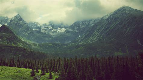 Mountain Valley Pine Trees Landscape Wallpapers Hd Desktop And