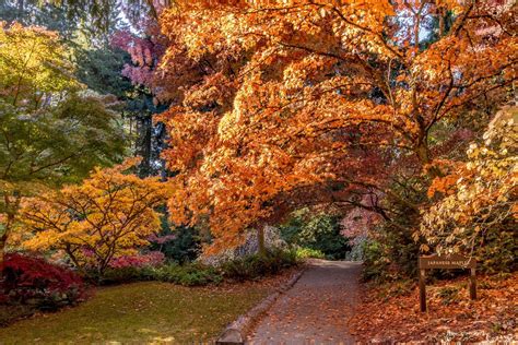 Best Time To See Seattle Fall Colors 2022 When To See Roveme