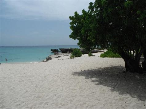 Smith Cove Grand Cayman Cayman Islands Top Tips Before You Go With