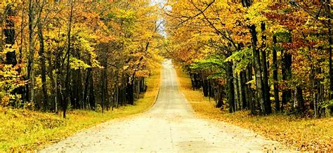 Six Best Roads To Experience Door County Fall Colors Door County Mom