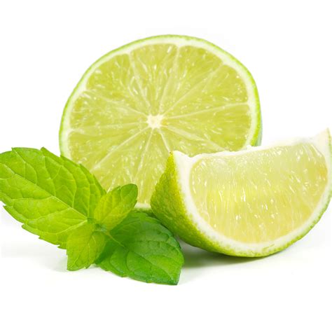 Lime Mint Fragrance Oil 427 Crafters Choice