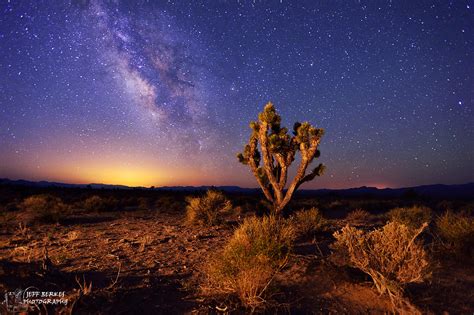 Desert Night Nevada Milky Way A Joshua Tree Near Area51 Flickr