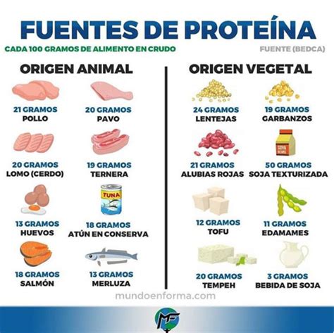 29 Alimentos De Origen Vegetal Ricos En Proteína • Fullmusculo
