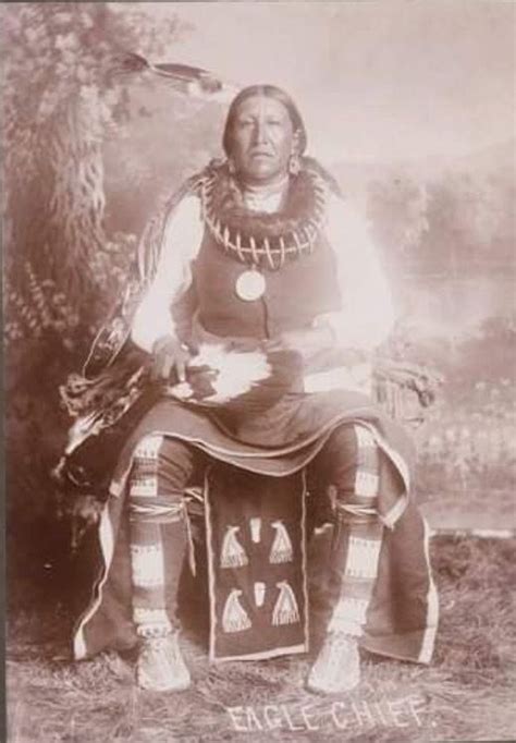 Eagle Chief Pawnee 1886 Native American Peoples Native American