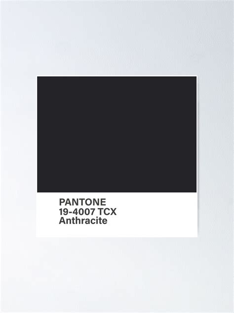 Pantone 19 4007 TCX Anthracite Poster For Sale By Princessmi Com