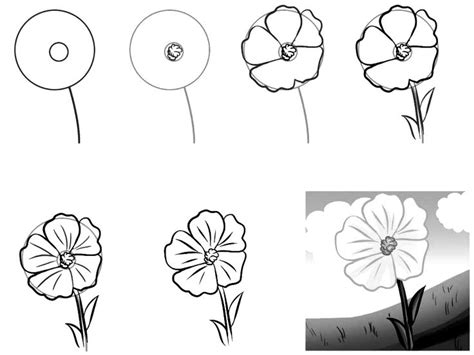 How to draw flowers for beginners step by step. How to draw a simple flower step by step with pencil: 18 ...