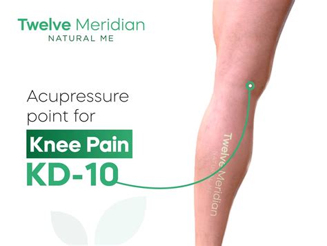 Acupressure Point For Knee Pain Kd 10 Twelve Meridian By Twelve