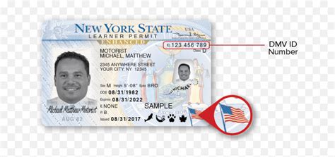 New York Dmv Sample Photo Documents New York Drivers License Number