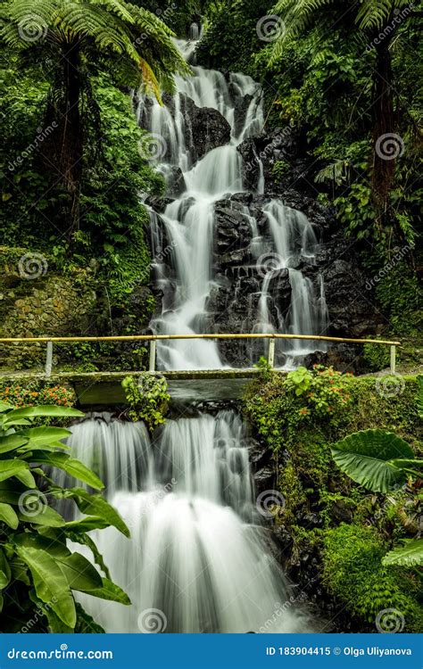 Waterfall Landscape Beautiful Hidden Jembong Waterfall In Tropical