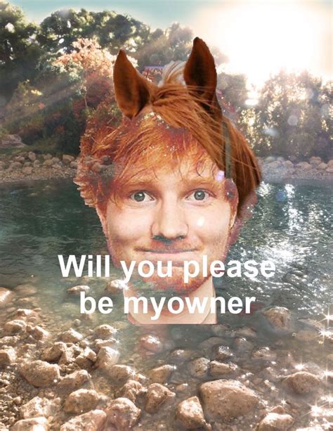 will you be ed sheerans owner ed sheeran memes really funny pictures funny laugh