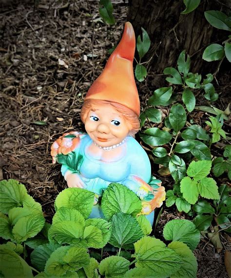 Free Download Garden Gnome Garden Dwarf Woman Small Figure Garden Fabric Imp Colorful