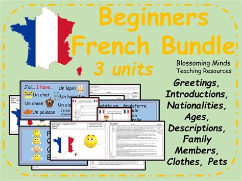 French Lesson Bundle 15 Lessons Teaching Resources