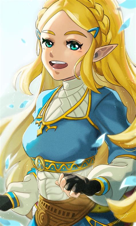 Zelda Breath Of The Wild Zelda No Densetsu Breath Of The Wild 8a0