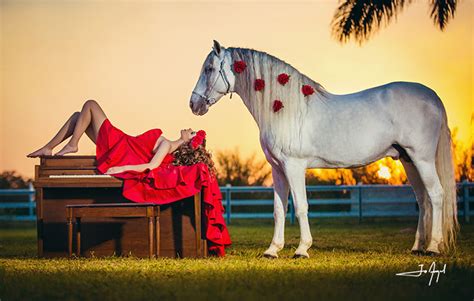 Barn Farm Horse Photoshoot Jo Angel Photo