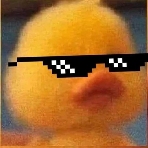 An Image Of A Duck With Sunglasses On It S Face