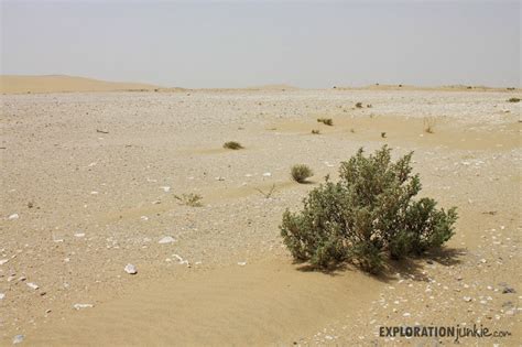 Qatar Desert Road Trip Exploration