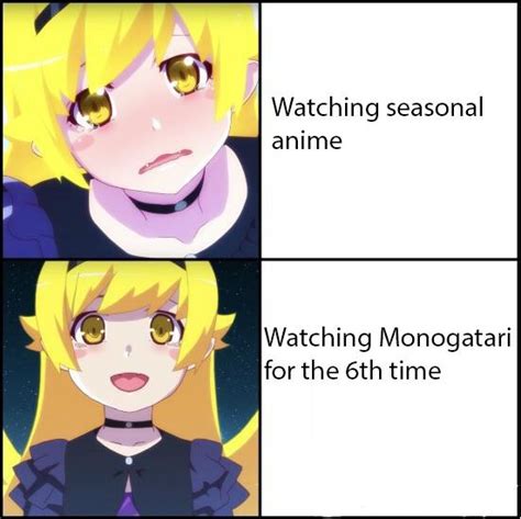 There Needs To Be More Monogatari Memes Animemes Got Anime Anime