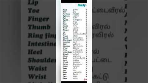 We will start from the basic for tamil learners, who can already speak in tamil but doesn't know how to read tamil. Body parts english and tamil meanings - YouTube