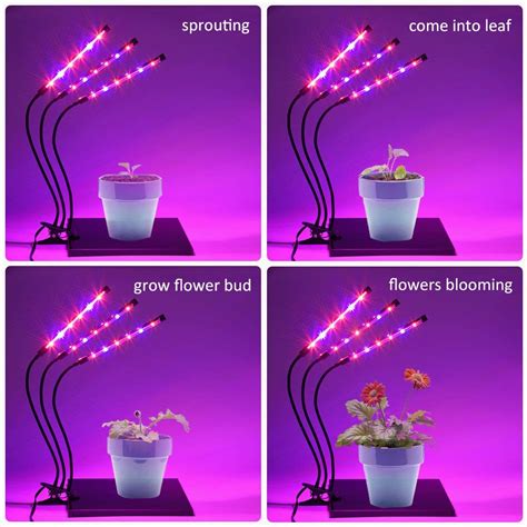 Place your plants in constant growing light for 16 hours a day. LED Grow Lights for Indoor Plants - Media Box Ent